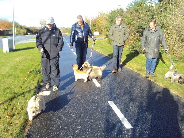 Hundedag i Brabrand 04