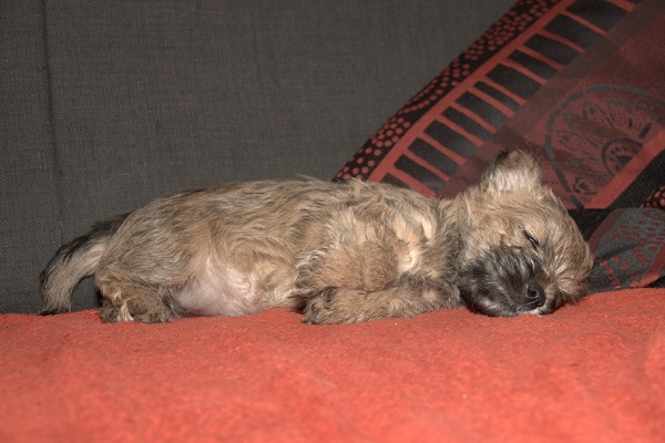 etta i sofaen