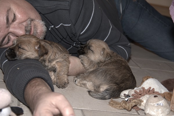 vi sover i armen